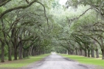 wormsloe